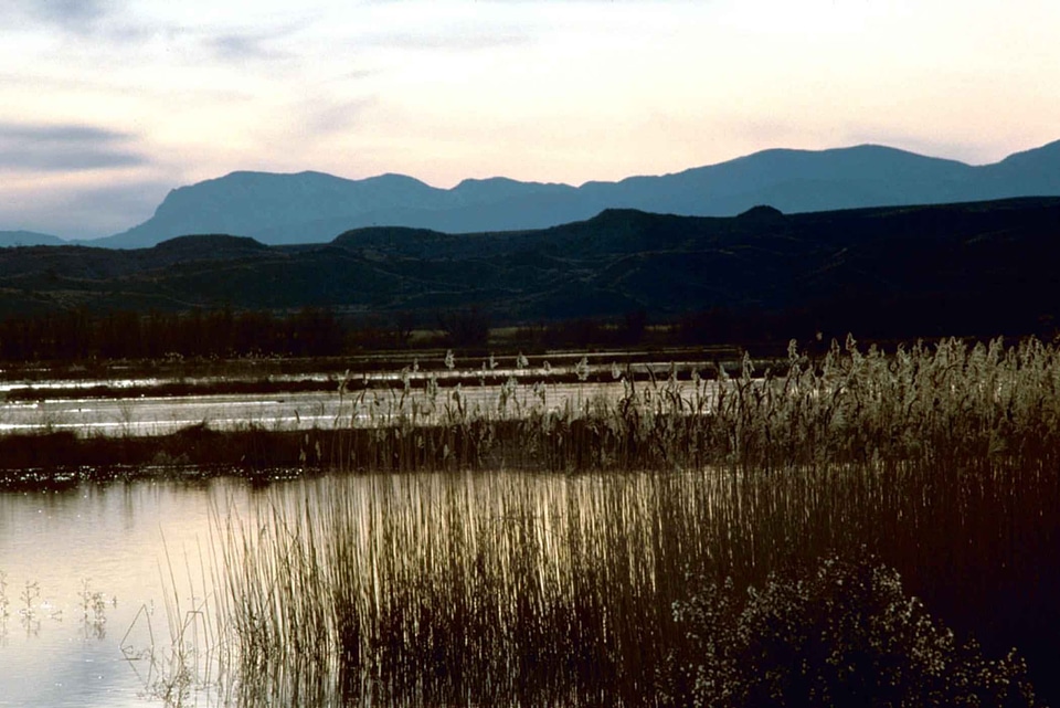 Apache domestic reservation