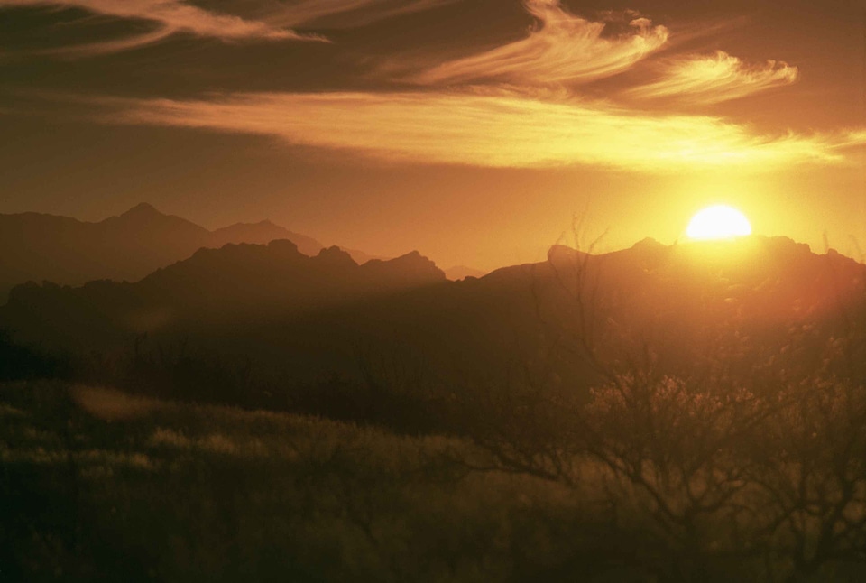 Desert scenic sunset