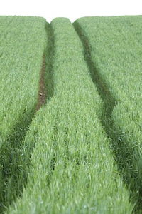 Tractor photo