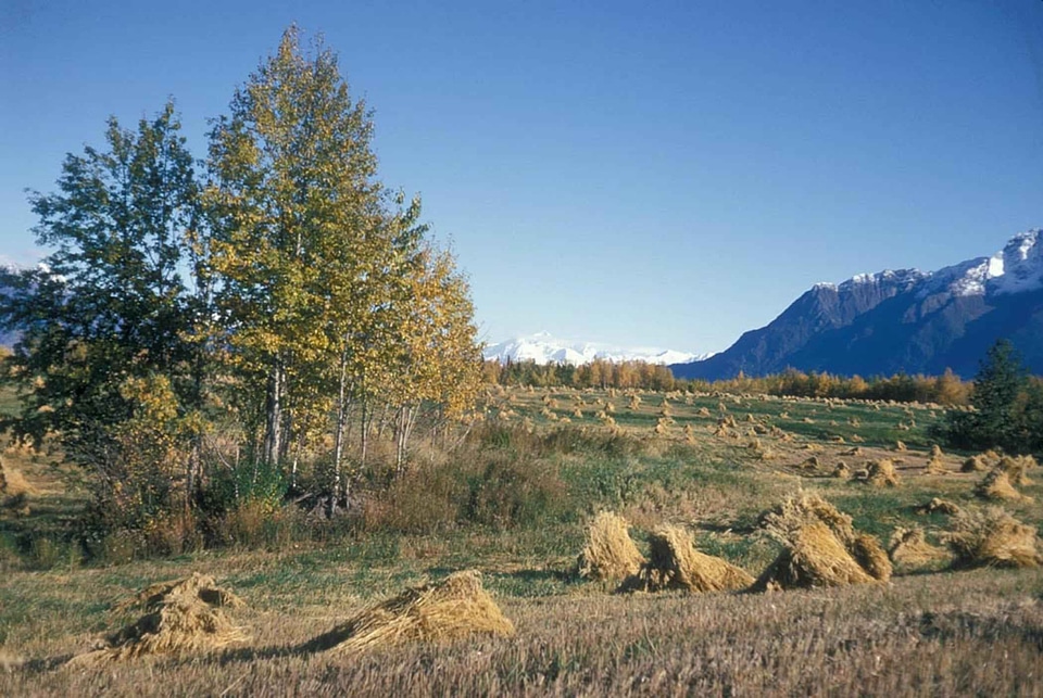 Array canada 