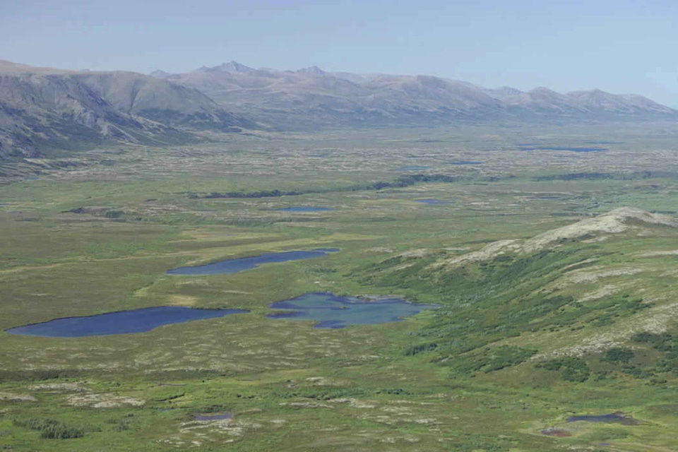 Greenery lakes little