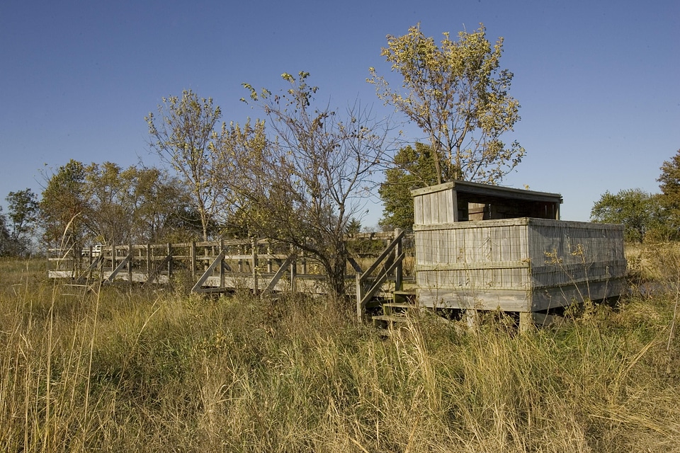 Lasting monitoring nature