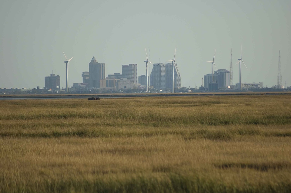 Array background city