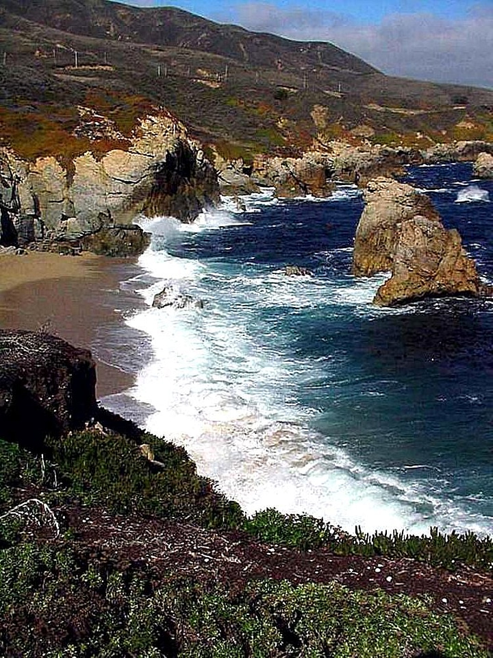 Coast ocean phylum photo