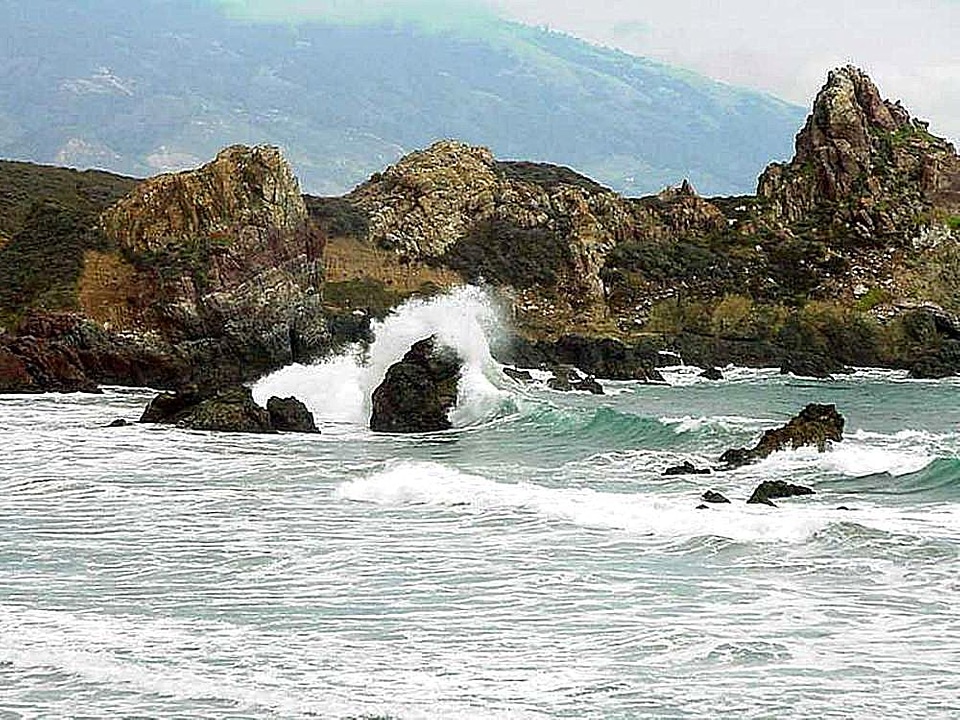 Coast phylum waves