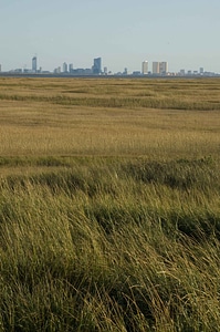 Array background city
