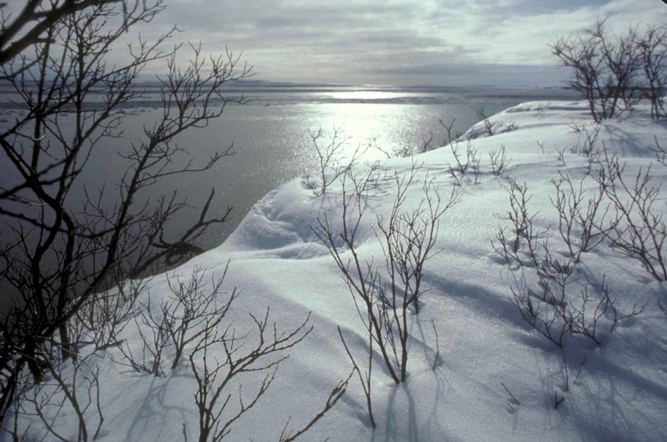 Shoreline  