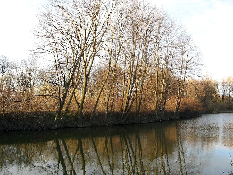 Nature shoreline 
