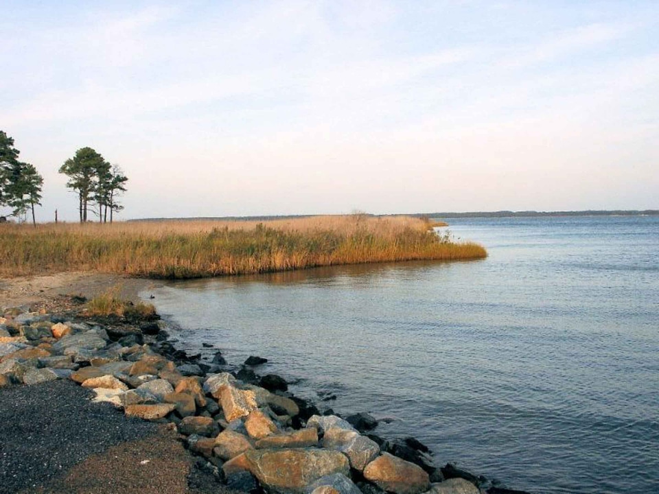Basin neck shoreline