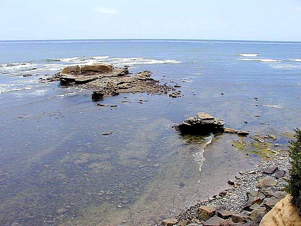 Ocean shoreline 