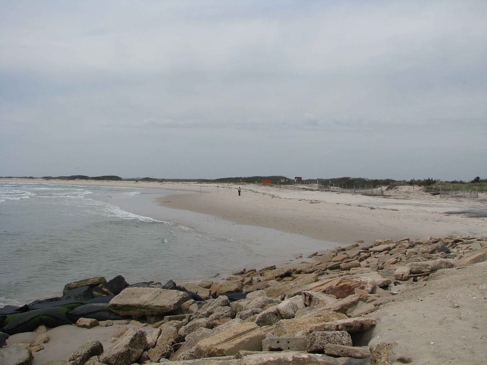 Coast perspective phylum
