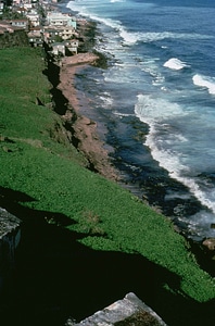 Coast  
