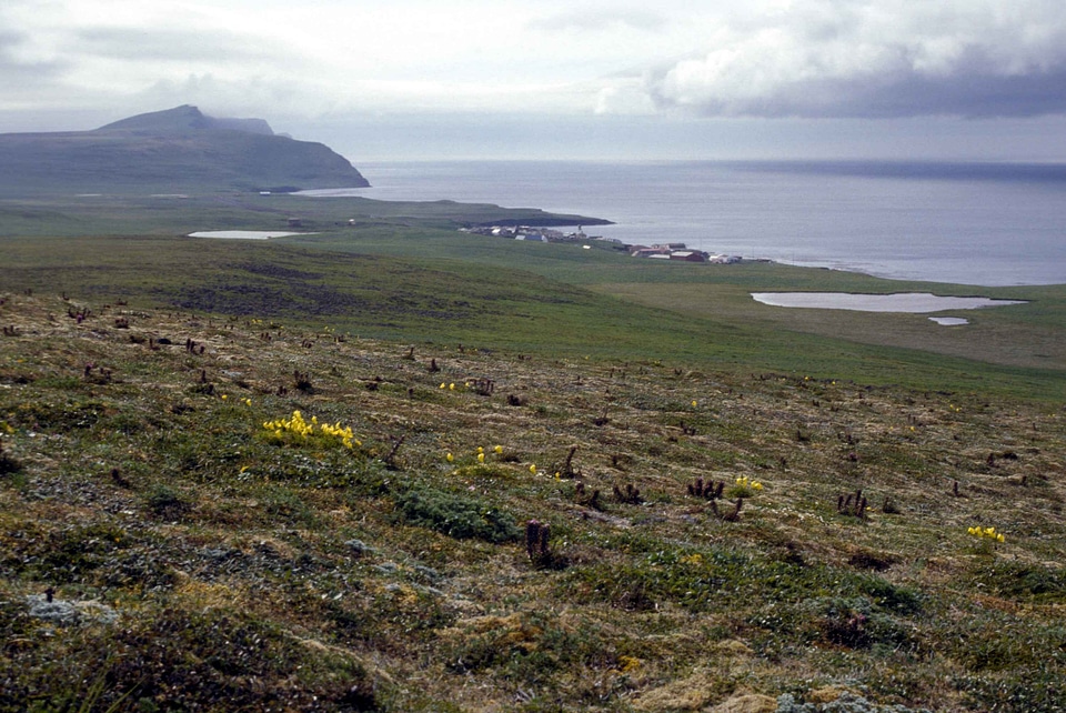 City coast distance