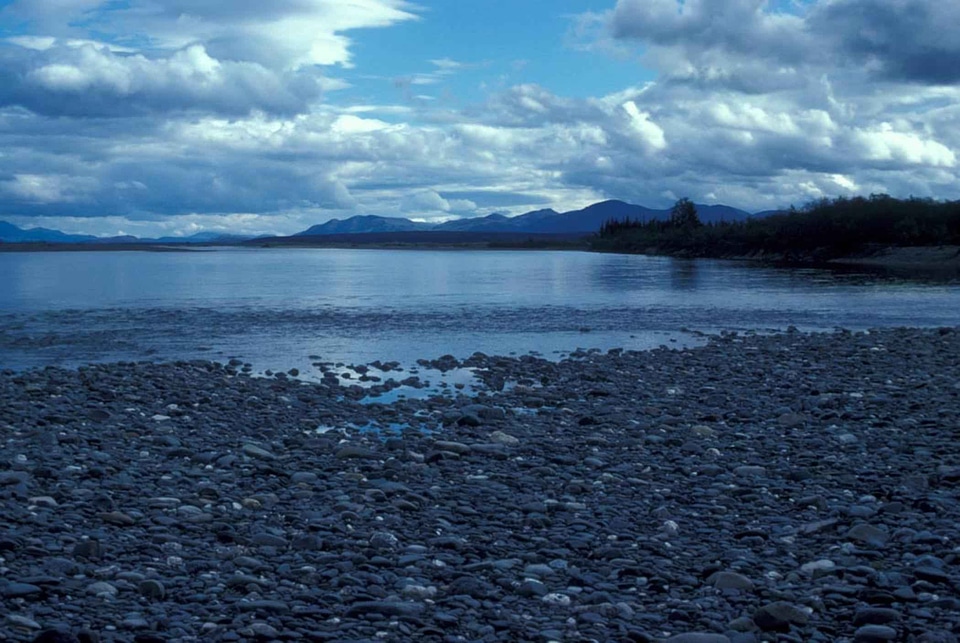 Cloudy river shoreline