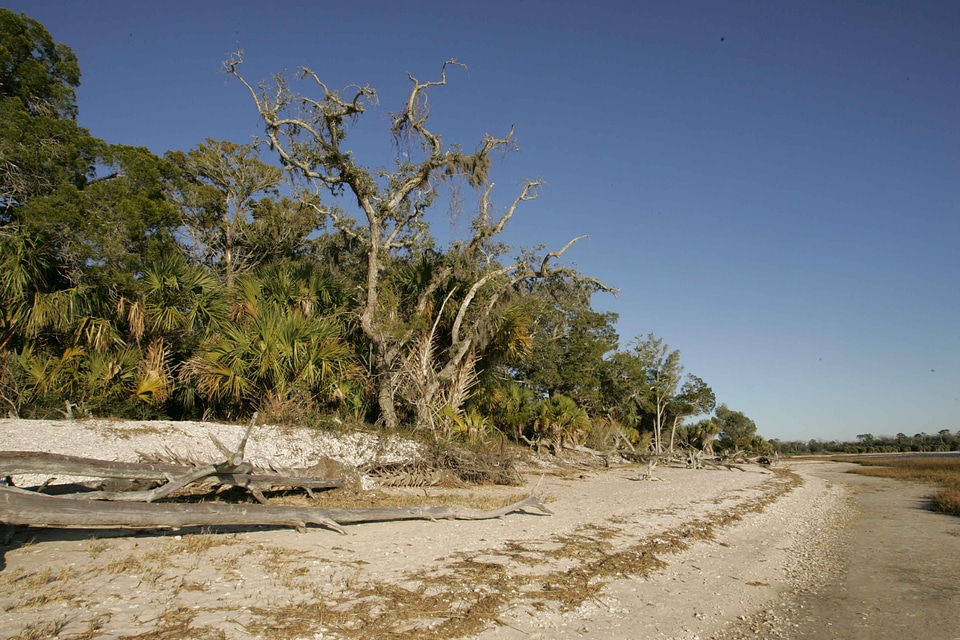 Area environment 