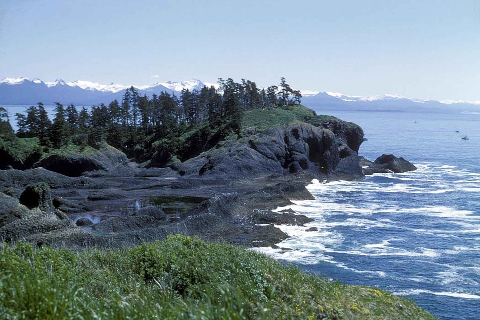 Coast lichen rocks