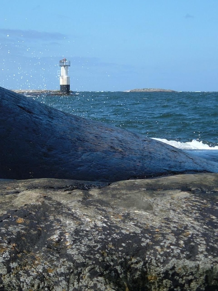Home light light house