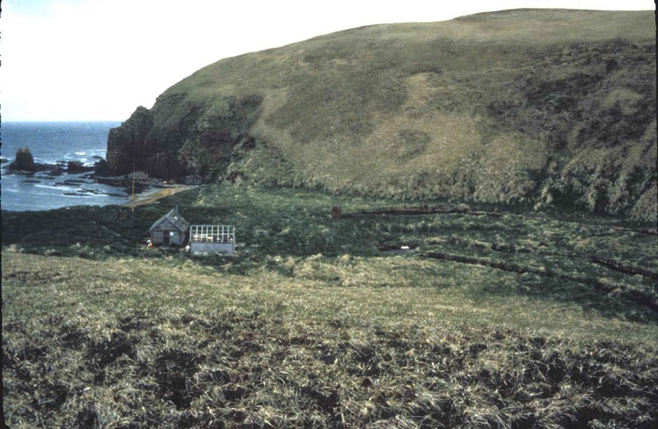 Island  