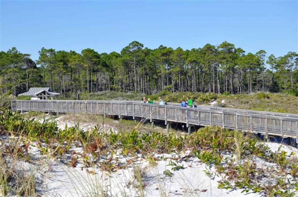 Coast project recovery