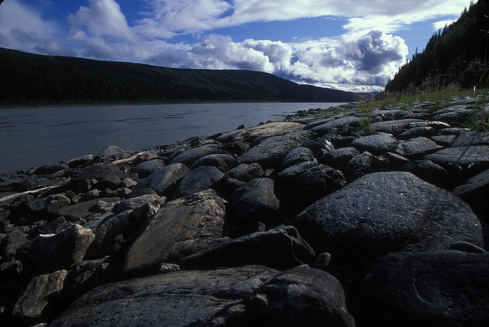 Black river shoreline