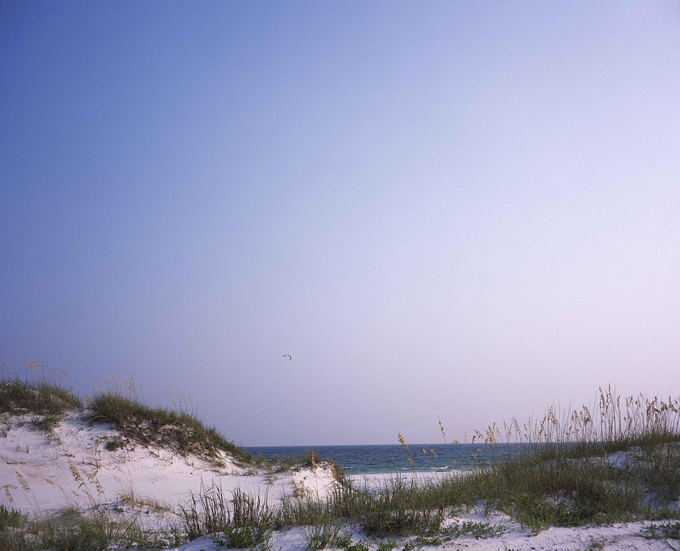 Perspective scenic shoreline
