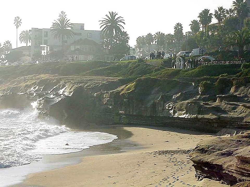 Phylum sand 