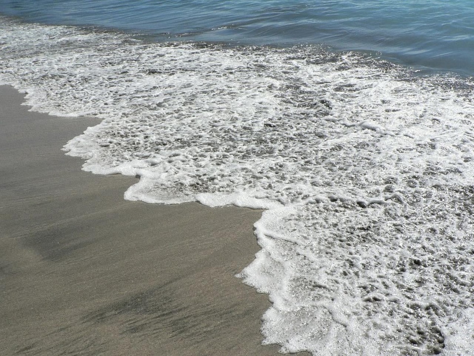 Encounter ocean phylum