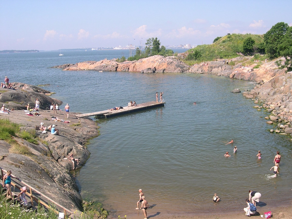 Bathe bathing phylum