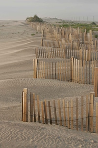 Control efforts erosion