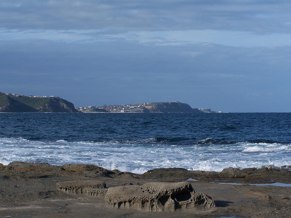 Back castle phylum