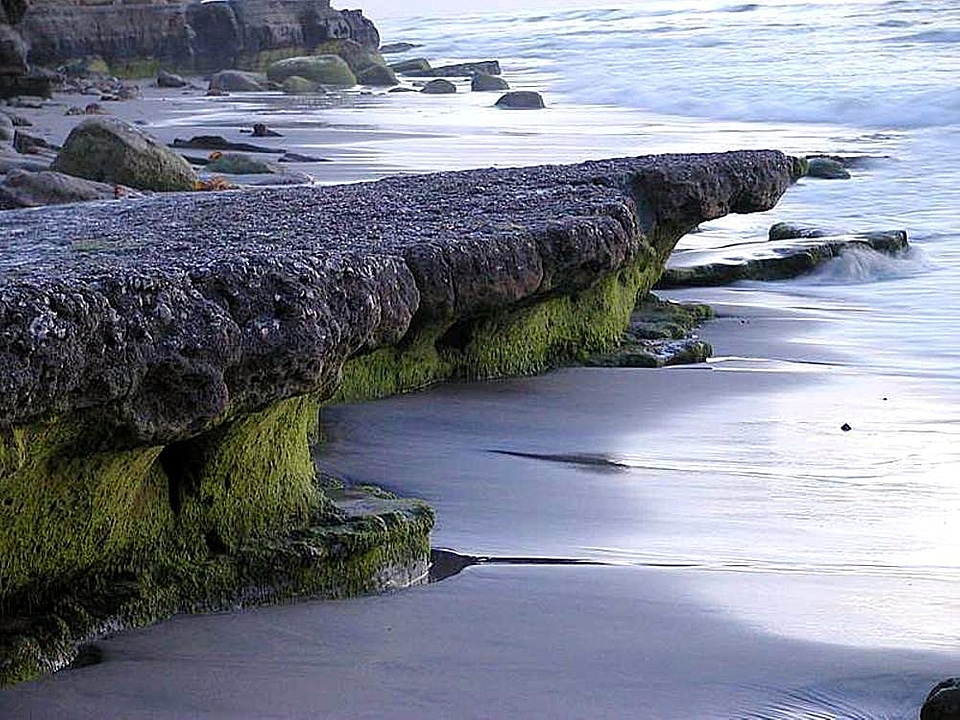 Ocean waves 