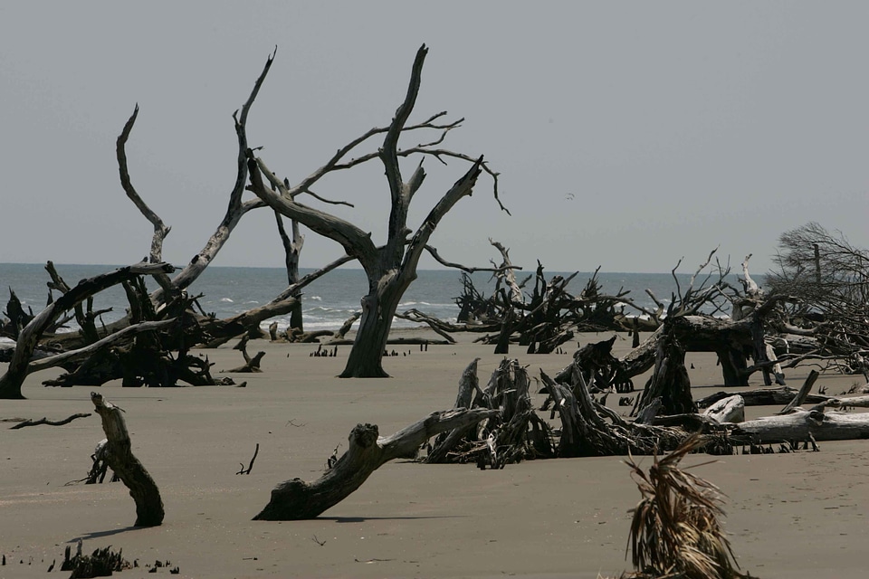 Ancient beach erosion erosion