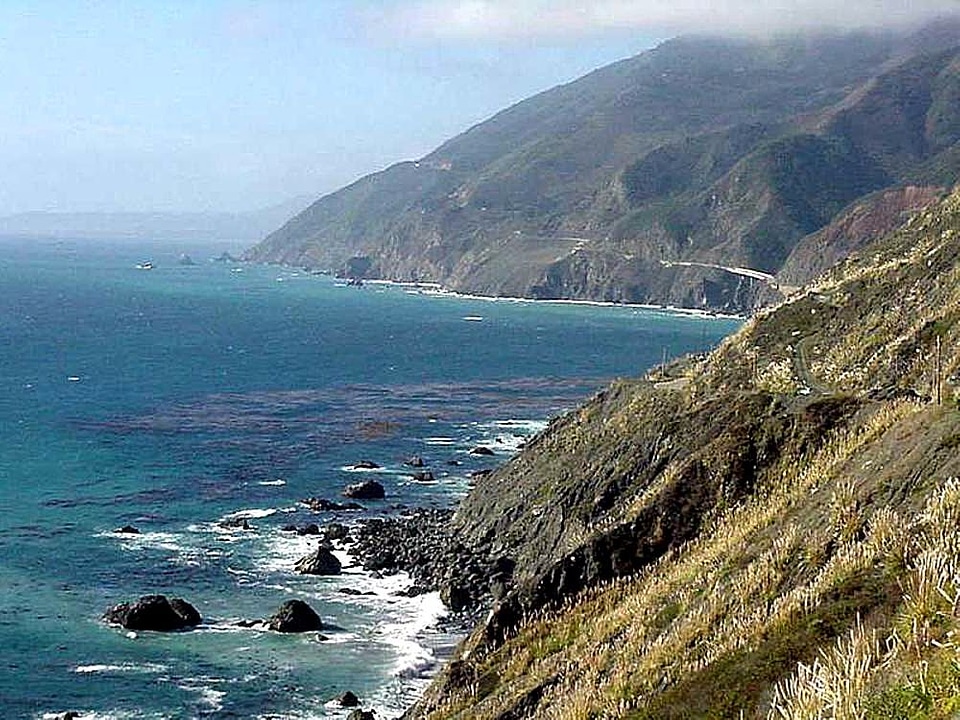 Coast ocean phylum