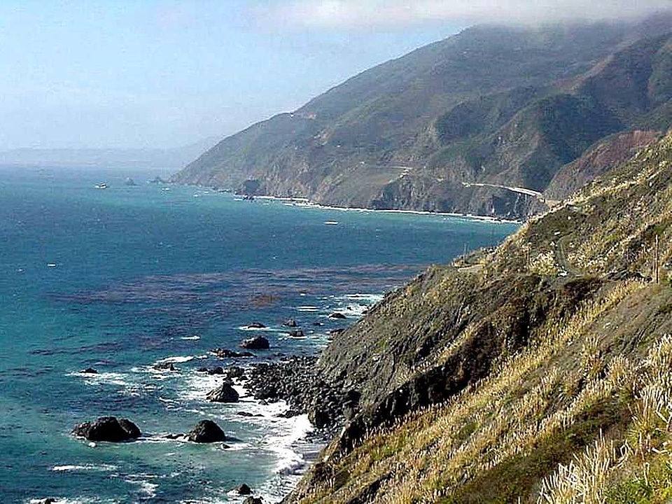 Coast ocean phylum photo