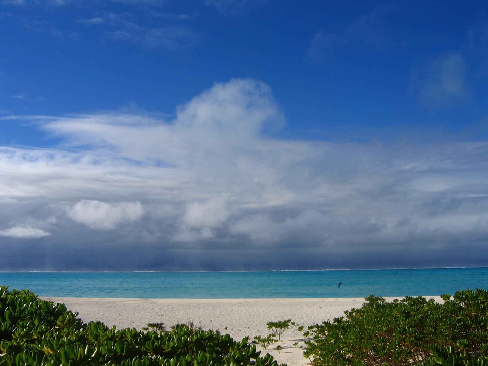 Atoll domestic midway