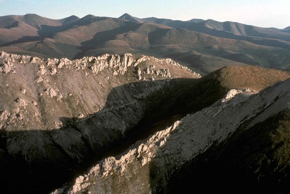Campaign mountain white