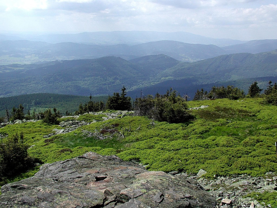 Foggy hang mountain