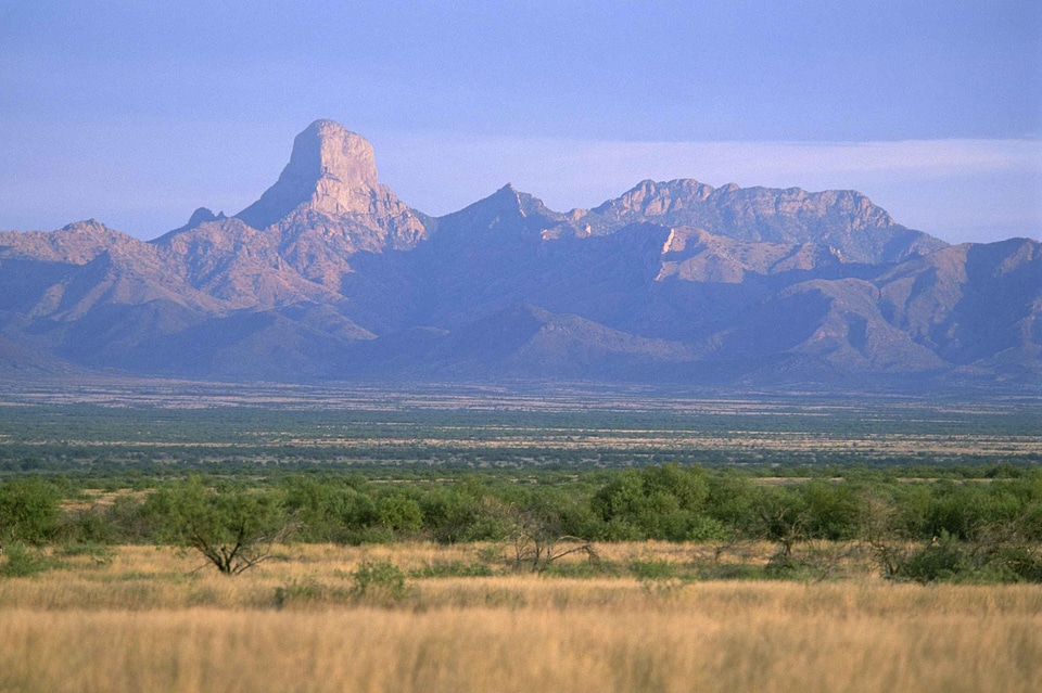 Habitat  