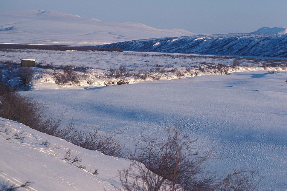 Scene scenic winter
