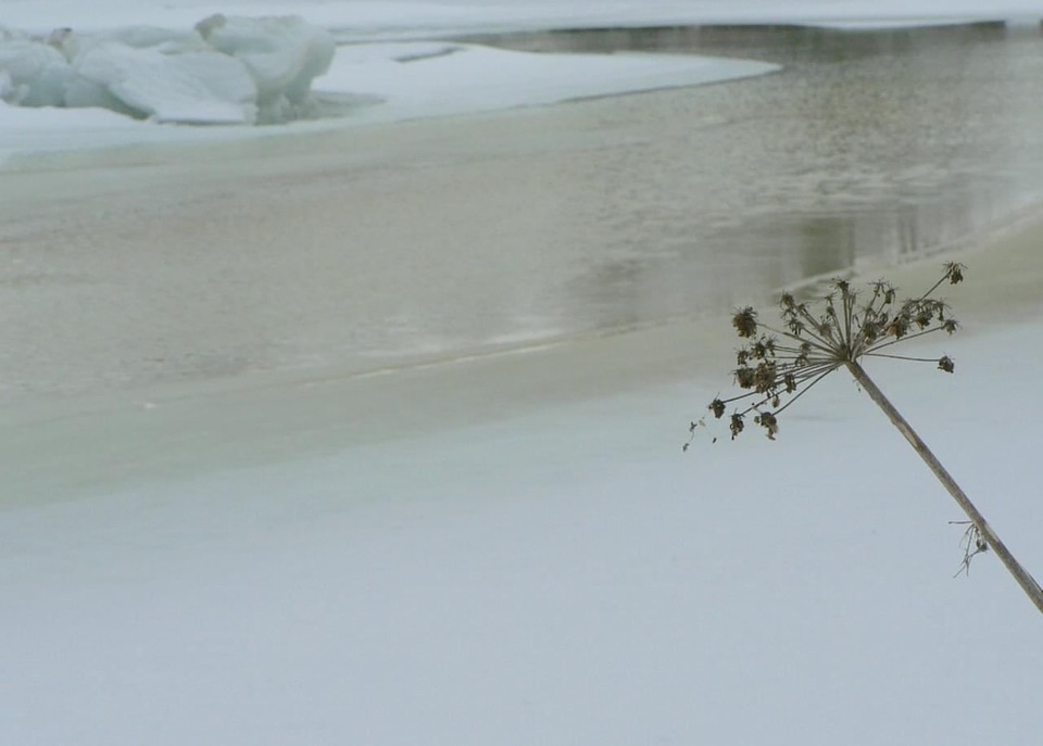Camp ice 