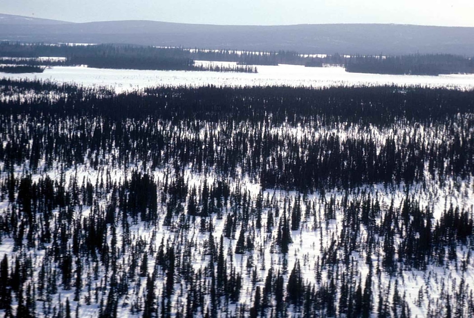 Basin river river basin