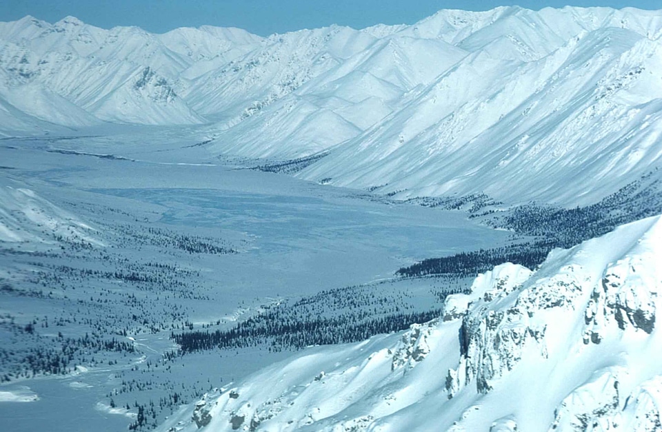 Countryside glen winter