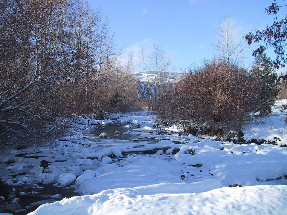 Arroyo ice snow