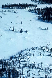 Hill winter 