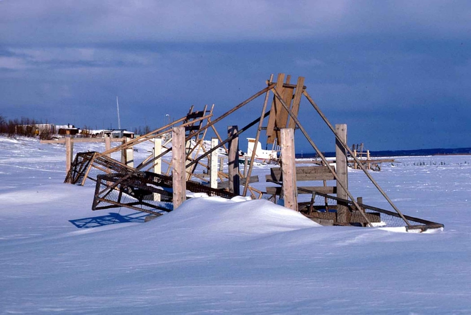 Fish snow wheel