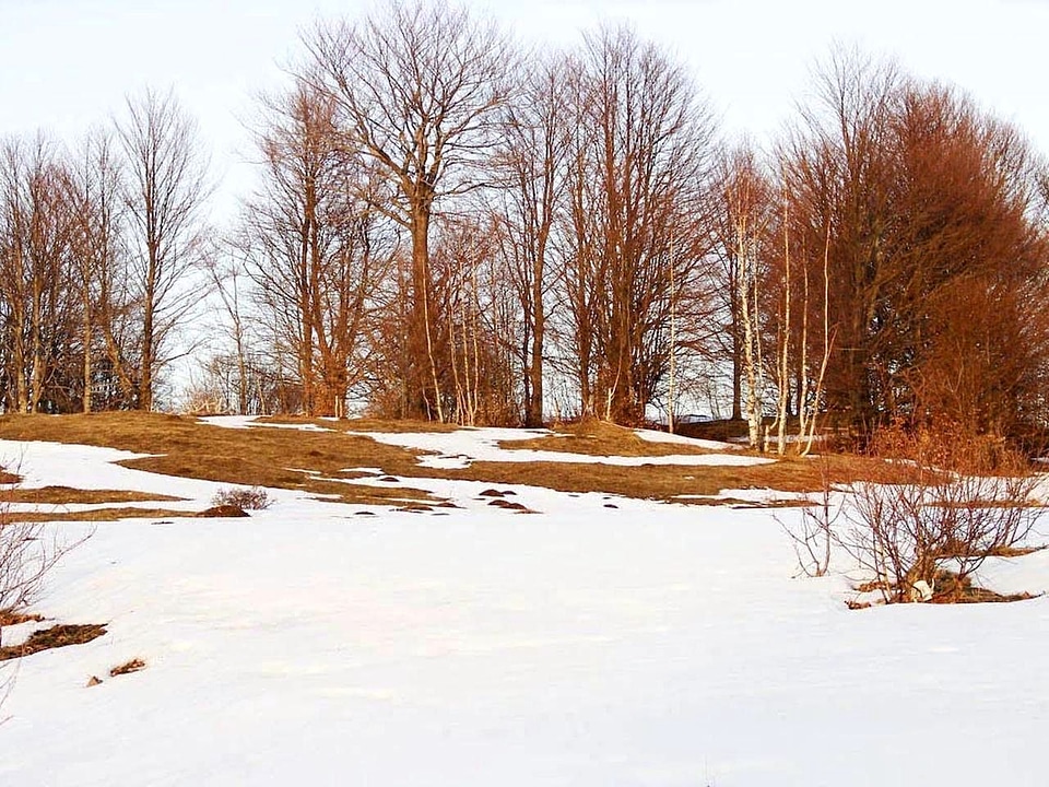 Winter  