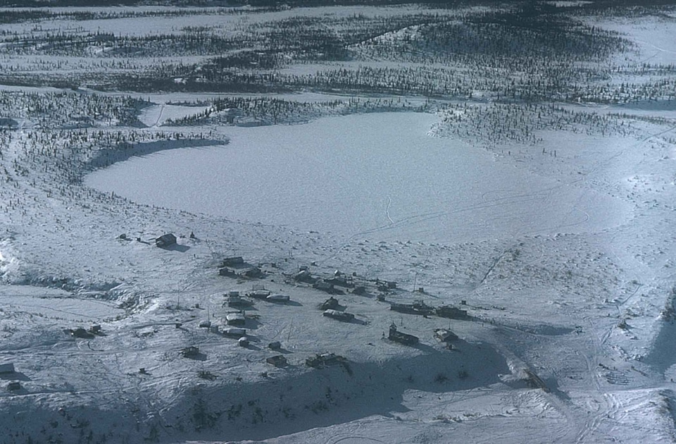 Adjacent arctic domestic