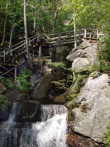 Bridge wooden 