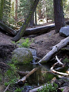 Rocks trees water