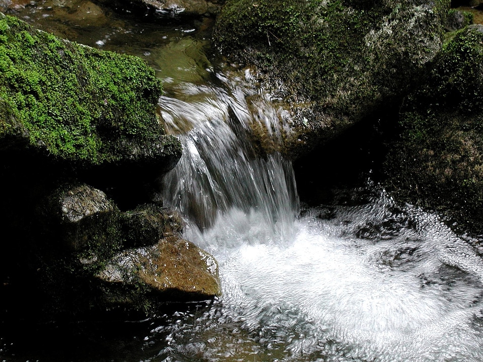 Brook nature reservation